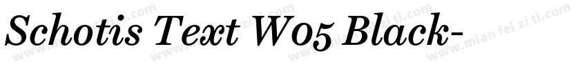 Schotis Text W05 Black字体转换